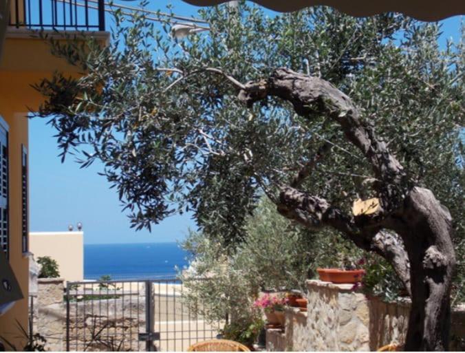 Modus B&B San Vito Lo Capo Exterior photo